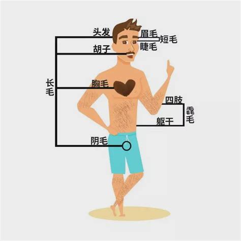 手上有一根很長的毛|身上有一根毛特别长，是长寿象征，还是癌变前兆？